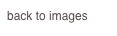 back to images