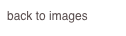 back to images